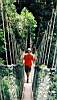 42-jungle pont suspendu.JPG